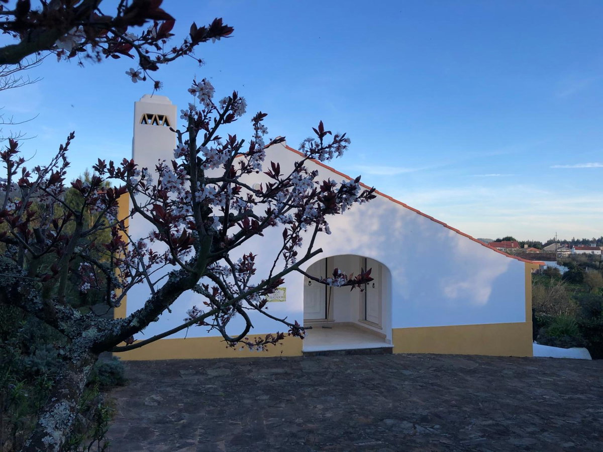 Quinta dos Girassóis FZ, Portugal