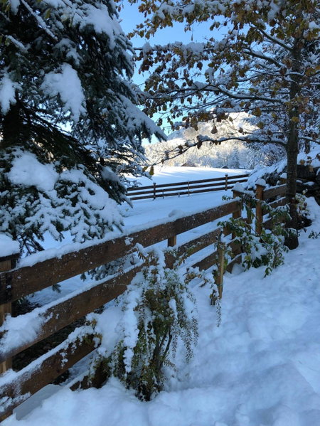 Ausseer Chalet (nahe Hallstatt), Ferienhaus, Bad Aussee, Austria