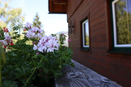Ferienhaus am Mühlbach, Gams bei Hieflau, Austria