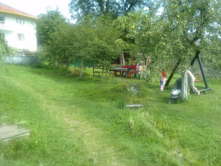 Surasul Muntelui, Dragoslavele, Romania
