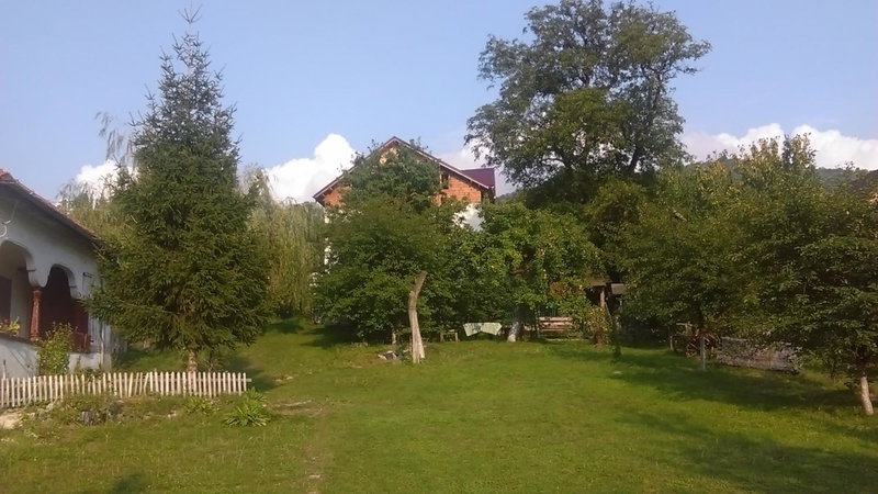 Surasul Muntelui, Dragoslavele, Romania