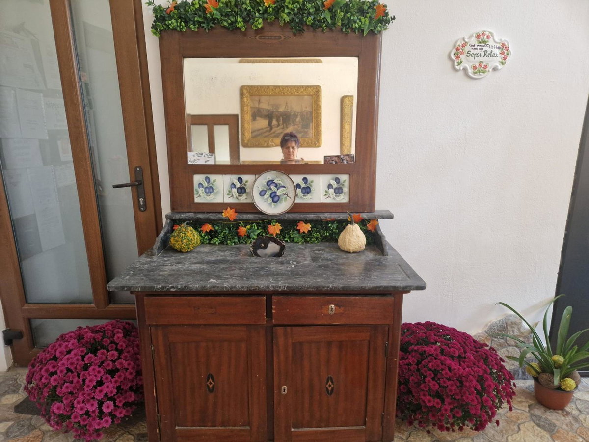 Hotel · Sepsi Relax, Sfântu-Gheorghe