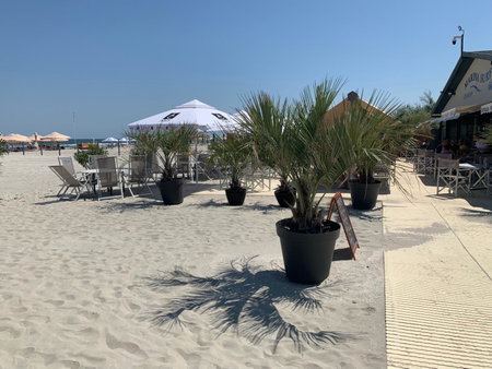 Vela Luxury Sea View Apartments - Marina Surf, Mamaia Nord, Romania