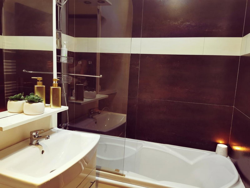 Nice & economic Studio, Baia Mare, Romania