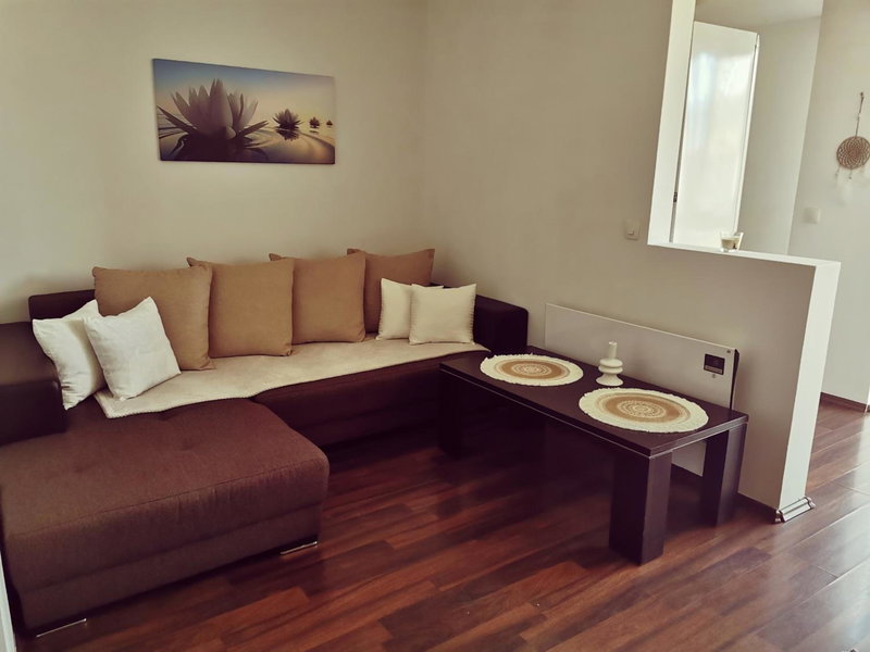 Nice & economic Studio, Baia Mare, Romania