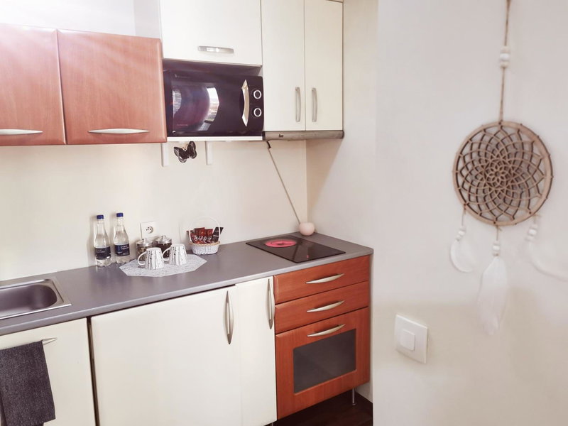 Nice & economic Studio, Baia Mare, Romania