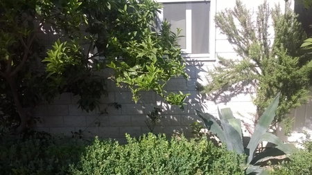 Apartman Renata, Omiš, Croatia