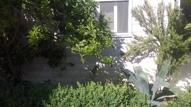 Apartman Renata, Omiš, Croatia
