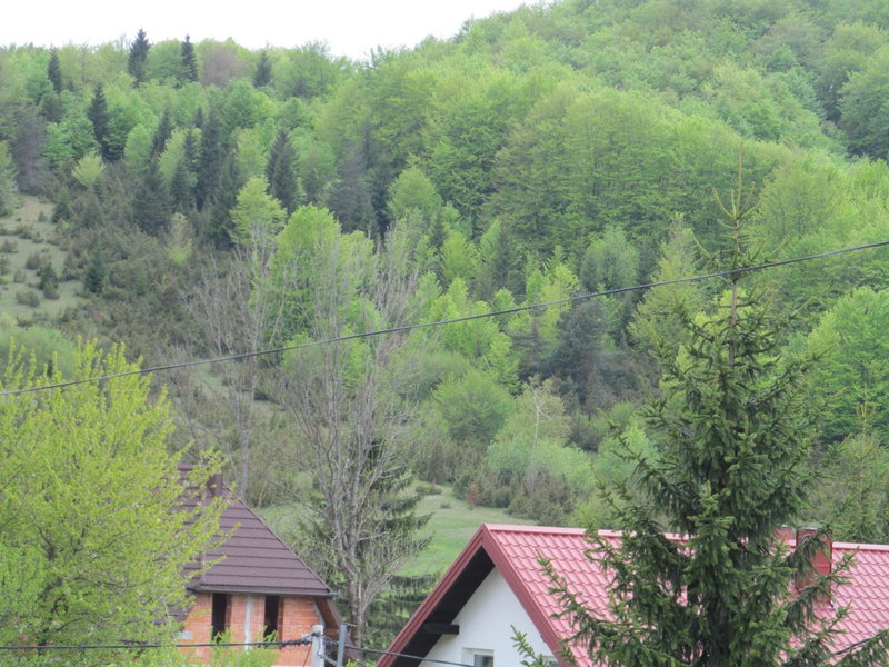 Natasa Apartments, Jezerce, Croatia