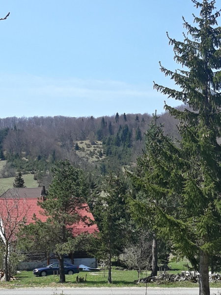 Natasa Apartments, Jezerce, Croatia