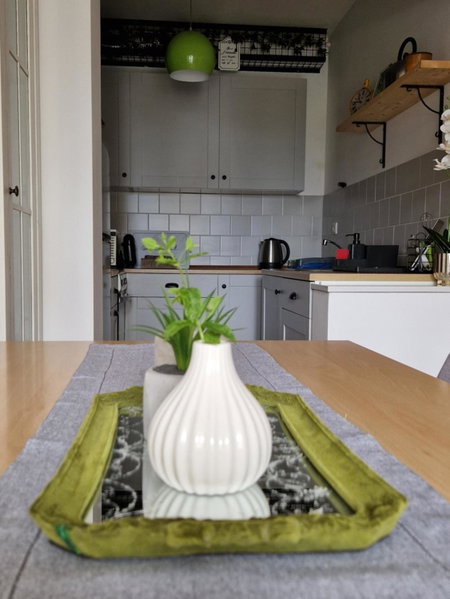 Apartment Rose, Sesvete, Croatia