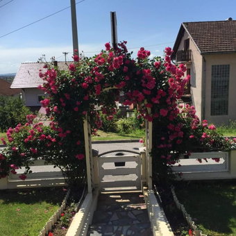 Sobe Opačak, Slavonski Brod, Croatia