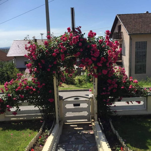 Sobe Opačak, Slavonski Brod, Croatia