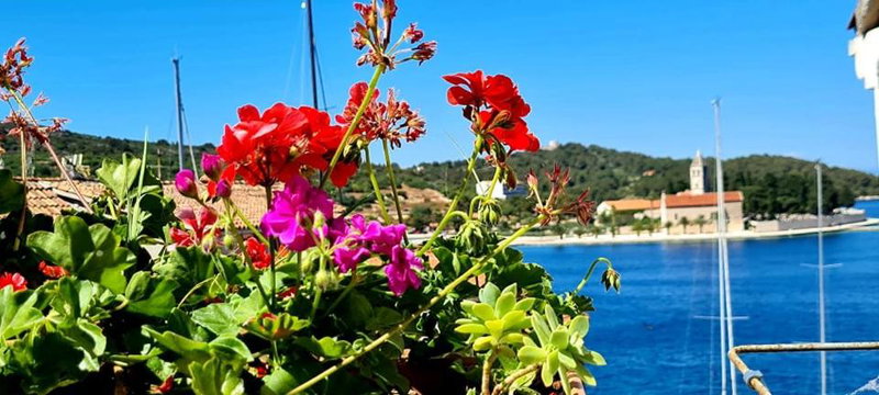 Bed & Breakfast Dionis Vis, Vis, Croatia