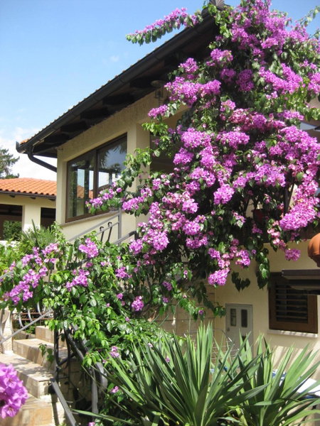 Apartments Ana, Opatija, Croatia