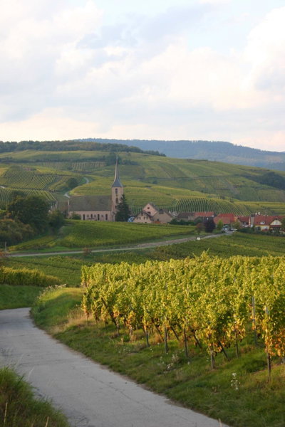 Hôtel Winzenberg bed and breakfast, Blienschwiller, France