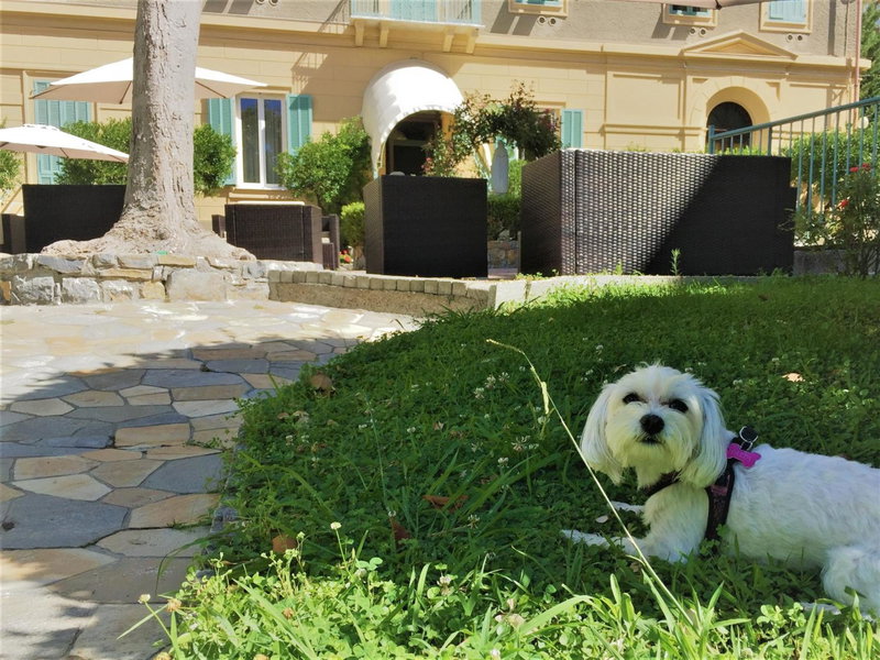 Hotel Villa Sophia, Sanremo, Italy