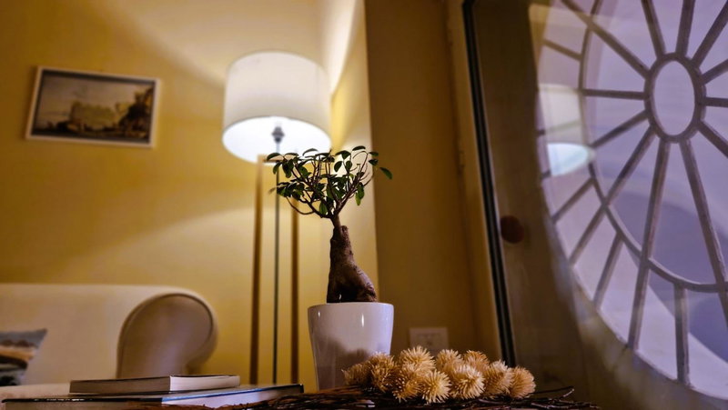 Maison Des Fleurs, Naples, Italy