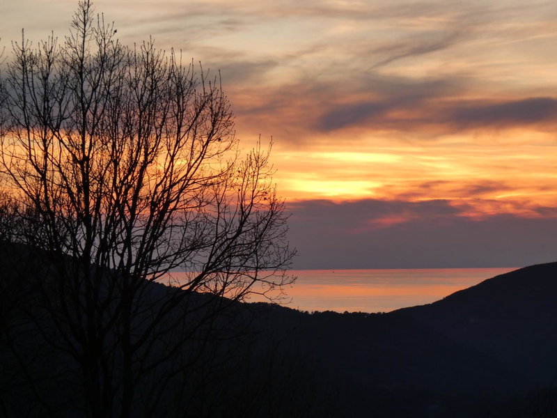 Il Laghello Wood House, Framura, Italy