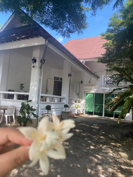 Whitehouse cafe&Guesthouse, Ban Sa La, Thailand