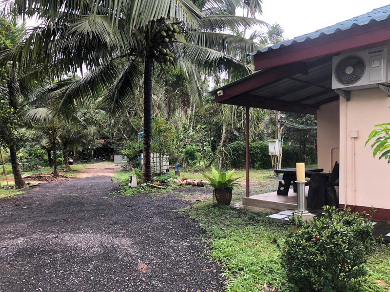 Green Happy Homestay, Ban Hua Khot, Thailand