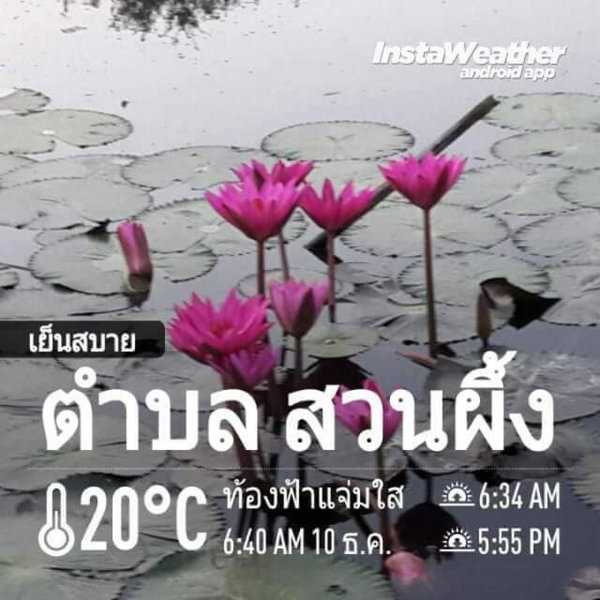 Suan Nopparat, Suan Phung, Thailand