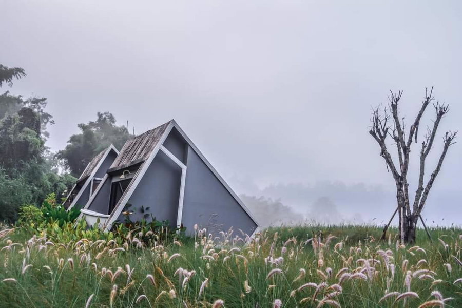 AomlongHomenon(อมลอง โฮมนอน), Ban Bong, Thailand