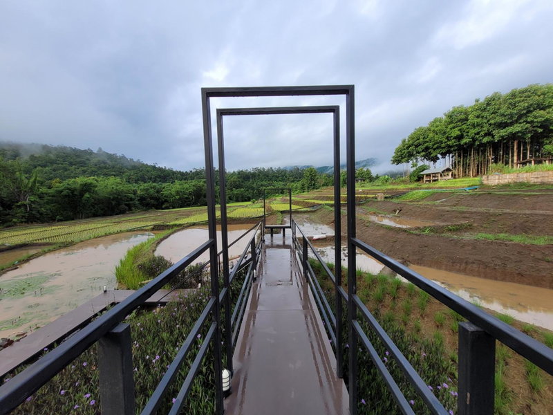 AomlongHomenon(อมลอง โฮมนอน), Ban Bong, Thailand
