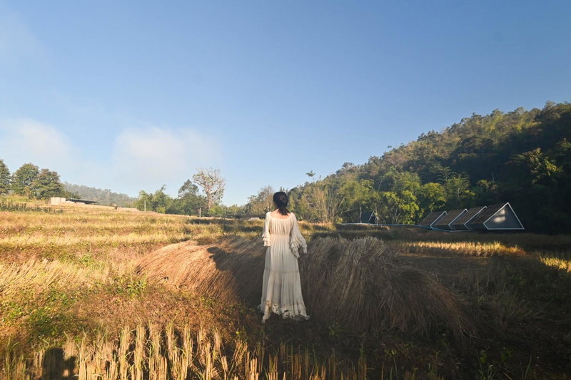 AomlongHomenon(อมลอง โฮมนอน), Ban Bong, Thailand