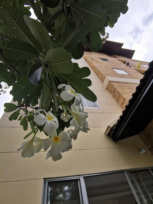 Suklutai Hotel & Serviced Apartment, Bang Khla, Thailand