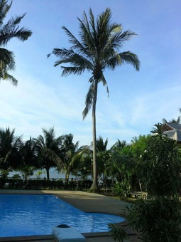 Krisada Beach Resort, Koh Samui, Thailand