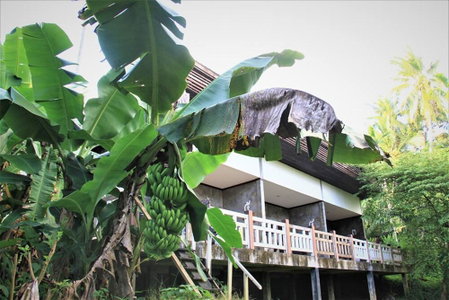 Tamsabai Resort Chumphon, Chumphon, Thailand