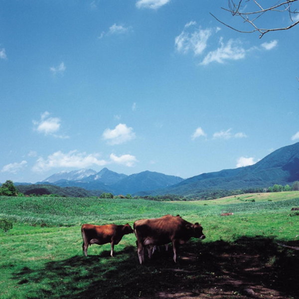Kyukamura Hiruzen-Kogen, Maniwa, Japan