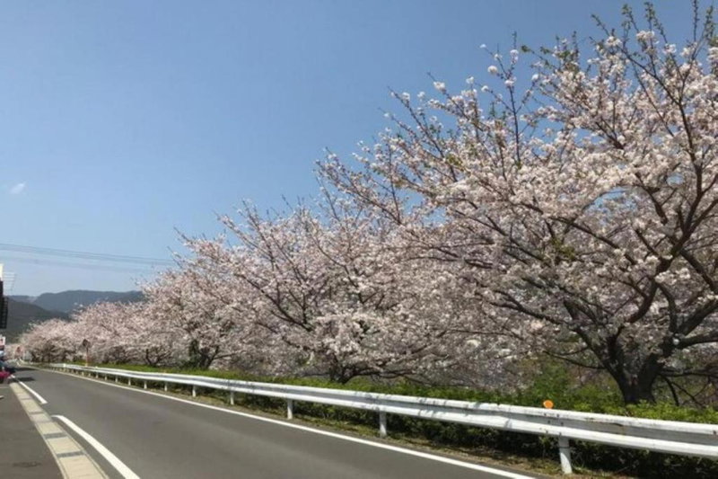 Business Hotel Kawakami Kumano, Kumano, Japan