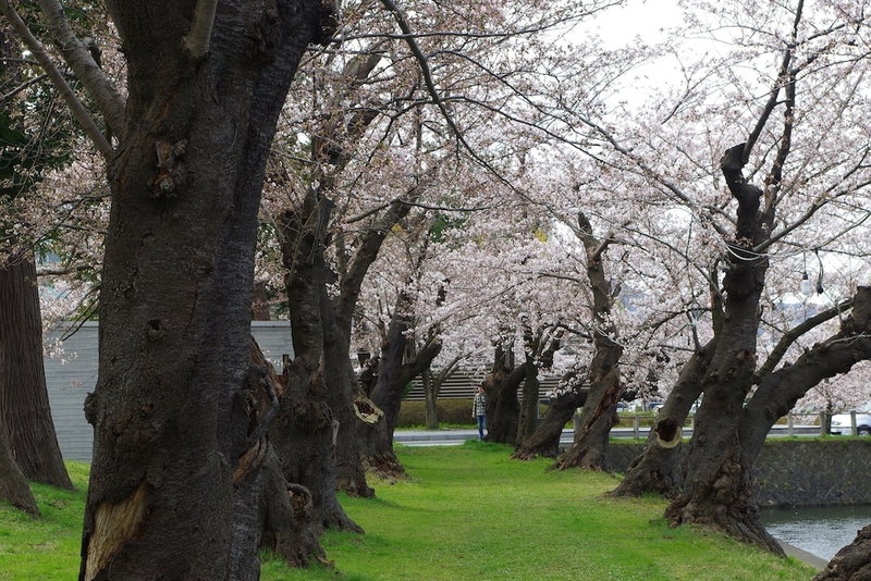 Hotel Yaotome, Tsuruoka, Japan