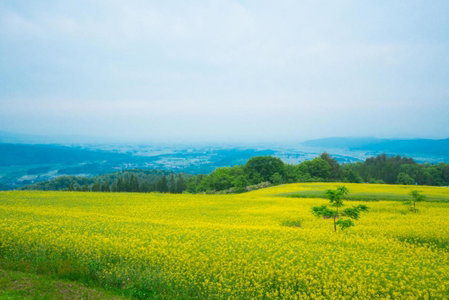Yamagataya, Kitakata, Japan