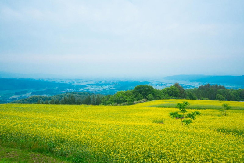 Yamagataya, Kitakata, Japan