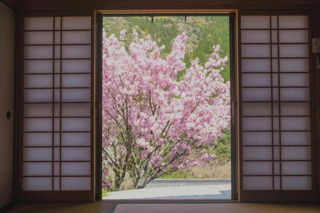 Satoyama no Yado Kei-House - Vacation STAY 55796v, Shikokuchuo, Japan