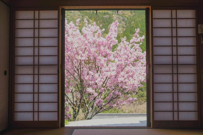 Satoyama no Yado Kei-House - Vacation STAY 55796v, Shikokuchuo, Japan