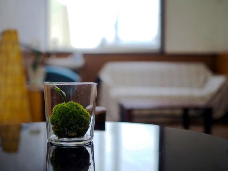 Mikan Hotel, Mihama, Japan