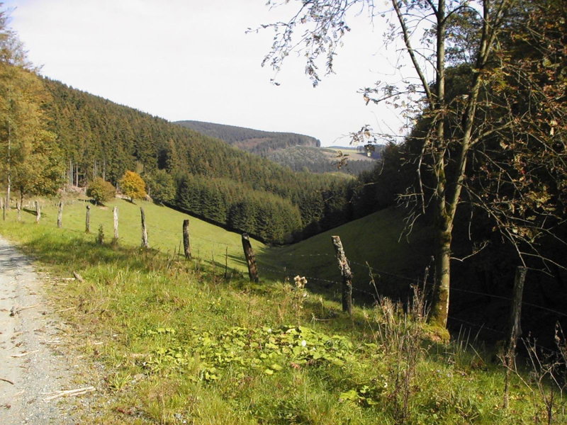 Sonneneck, Winterberg, Germany