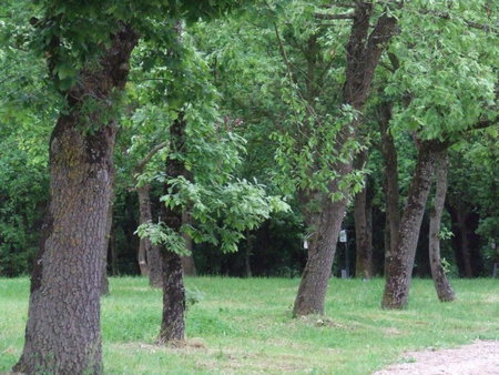 Camping Vila de Sarria, Sarria, Spain