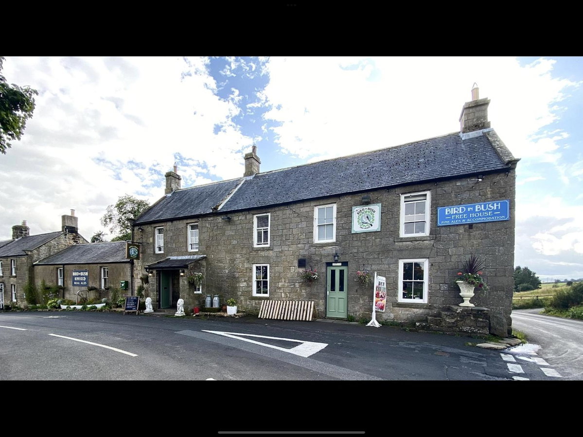 Hotel · Bird In Bush Elsdon, Elsdon