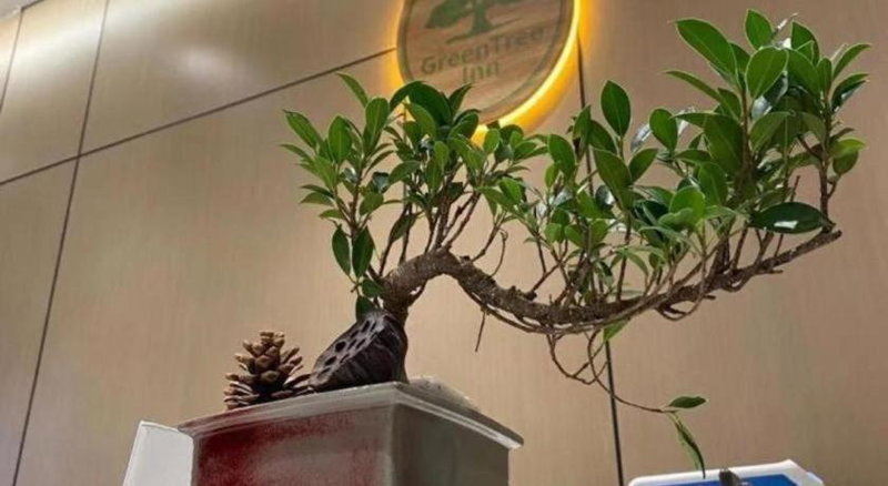 GreenTree Inn Luoyang Railway Station Wangfujing Wangcheng Park, Luoyang, China