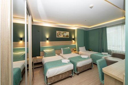 The Hotel Ottoman City Istanbul, Istanbul, Turkey