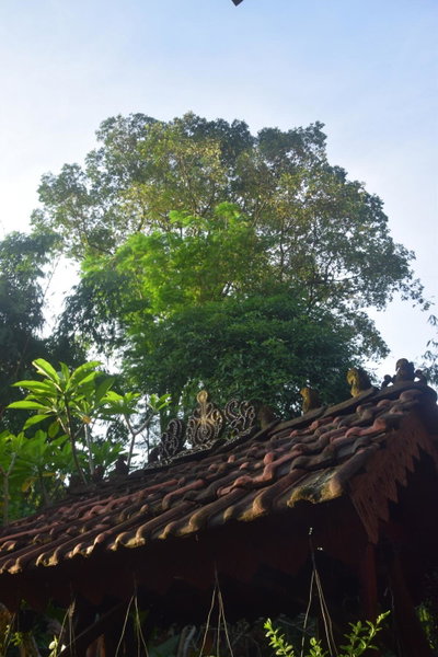 Cokro Hinggil - Traditional View, Sleman, Indonesia