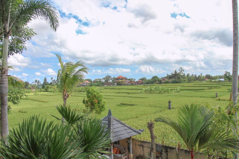 Kubu Sari Ubud, Ubud, Indonesia