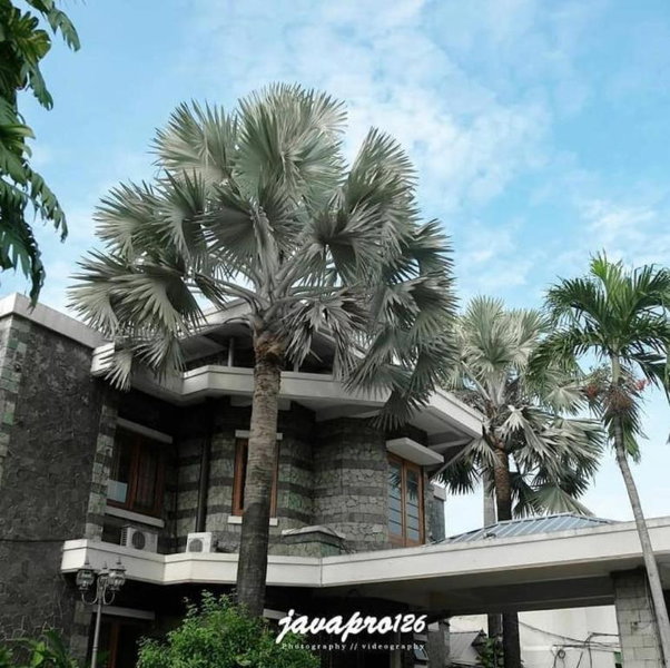 Arimbi Pejaten Suites, Jakarta, Indonesia