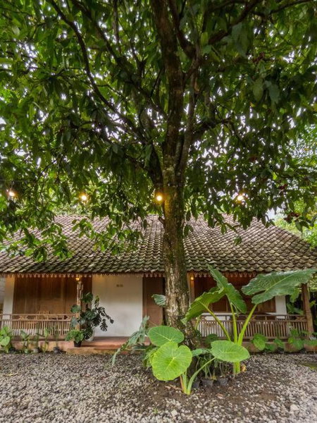 Omah Joho Guesthouse, Yogyakarta, Indonesia