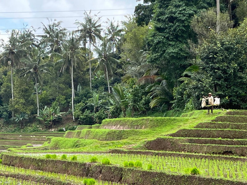 Balian Bliss Retreat Bungalow & Villas, Balian, Indonesia